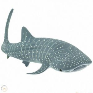 WHALE SHARK