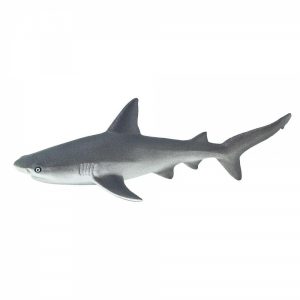 BULL SHARK