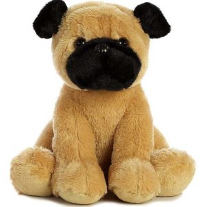 Pugster