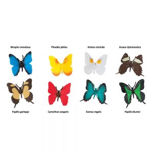 BUTTERFLIES