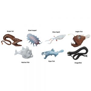 DEEP SEA CREATURES