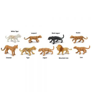 BIG CATS