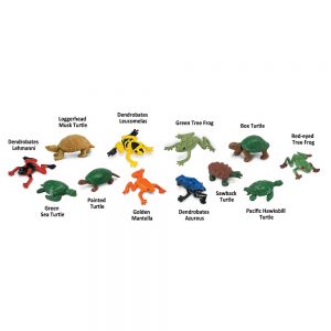 FROGS AND TURTLES