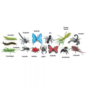 INSECTS