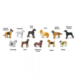 DOGS