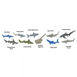 SHARKS