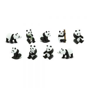 PANDAS