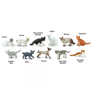 DOMESTIC CATS