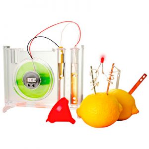 NATURAL BATTERY