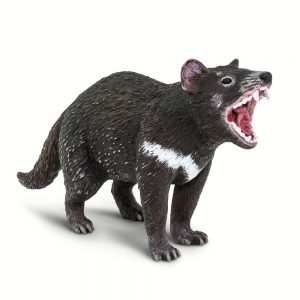 Tasmanian Devil