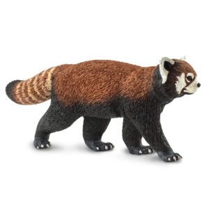 Red Panda