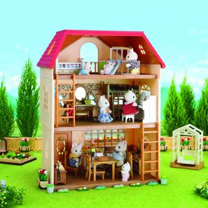 STORY HOUSE