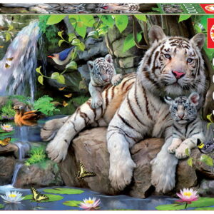1000 BENGAL WHITE TIGERS