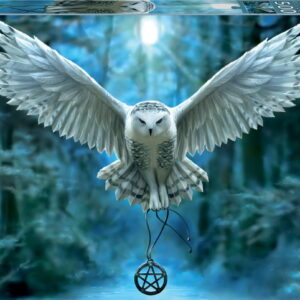 500 AWAKE YOUR MAGIC