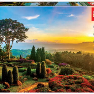 1000 BEAUTIFUL GARDEN