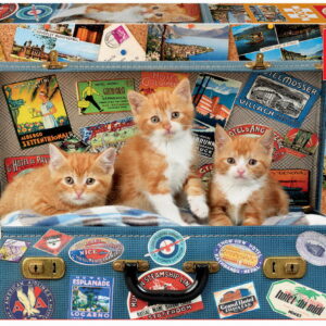 200 TRAVELLING KITTENS