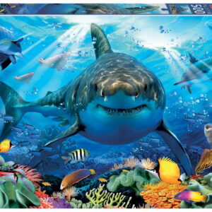 500 GREAT WHITE SHARK