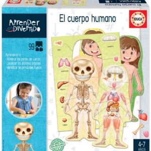 APRENDO EL CUERPO HUMANO
