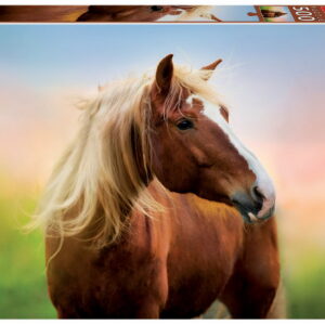 500 HORSE AT SUNRISE