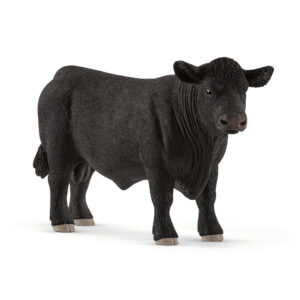 Black Angus bull
