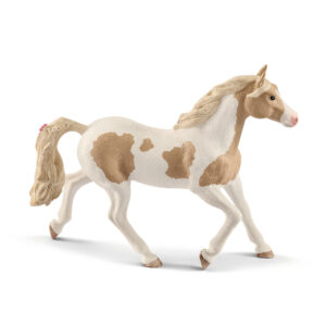 Paint horse mare