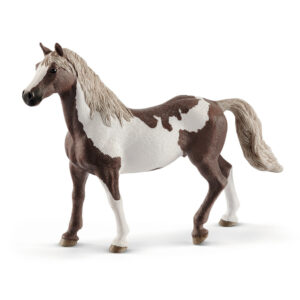 Paint horse gelding