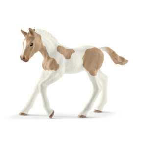 Hanoverian mare