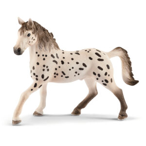 Knapstrupper stallion