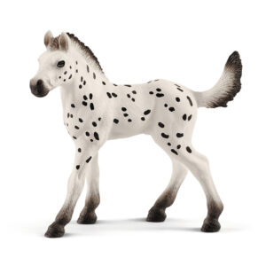 Knapstrupper foal