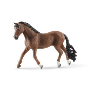 Trakehner gelding