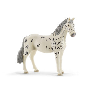 Knabstrupper mare