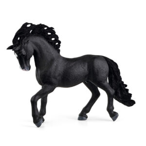 Pura Raza Española Stallion