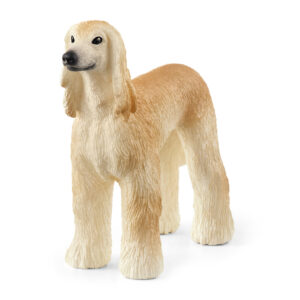 Afghan hound