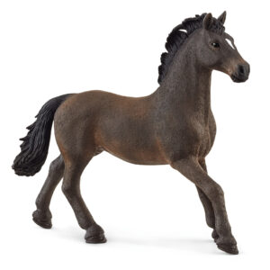 Oldenburg Stallion