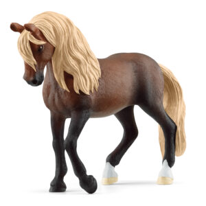 Paso Peruano stallion