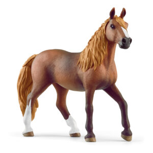 Paso Peruano mare