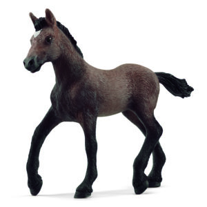 Paso Peruano foal