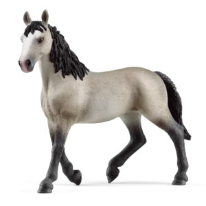 Cheval de Selle Francais mare