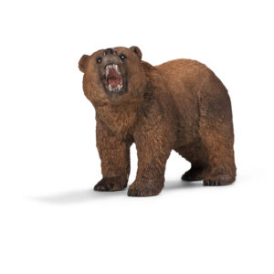 Grizzly bear