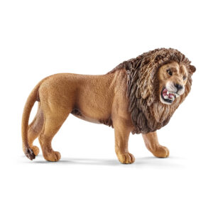 Lion, roaring