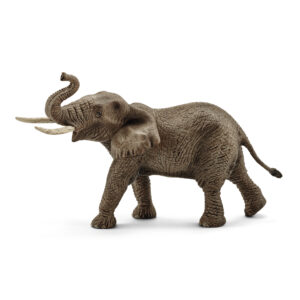 African elephant, male