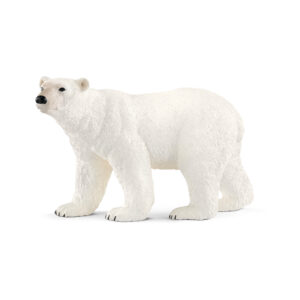 Polar bear