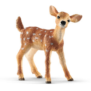 White tailed fawn
