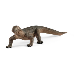Komodo dragon