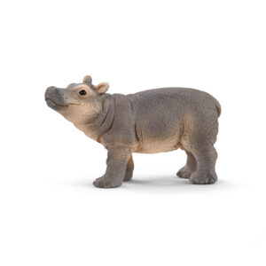 Baby Hippopotamus