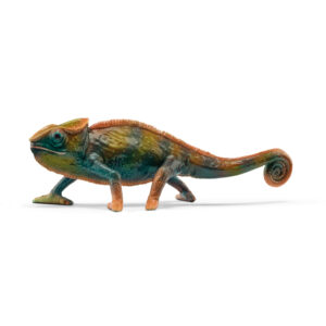 chameleon