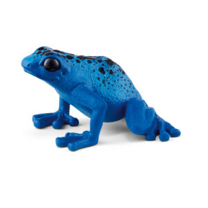 Poison dart frog