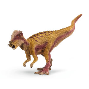 Pachycephalosa urus