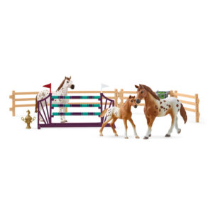 Horse Club Lisa’s tournament training