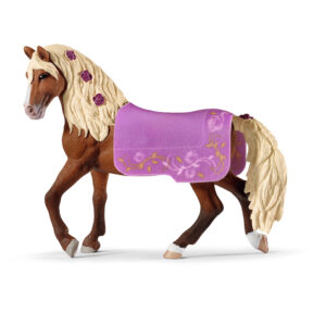 Paso Fino stallion horse show